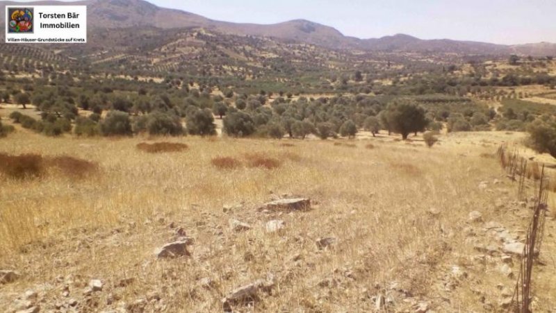 Sivas Kreta, Sivas: Grundstück 17.000 m² in guter Lage Grundstück kaufen